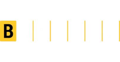 partners who work with vegas11