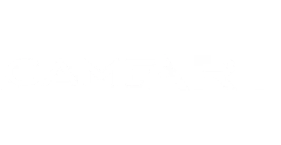 partners who work with vegas11